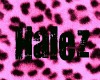 HALEZ Bangles