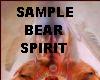 bear spirit 2