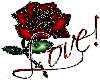 Love Rose