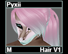 Pyxii Hair M V1