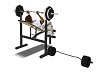 sj Weights Bench