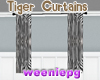 Zebra Curtains