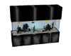 {TR} Fish Tank