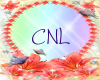 [CNL]DOC flower 17