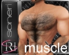 Muscle top 1