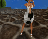 Moo Cow Dress