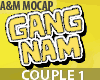 Gangnam COUPLE Dance 1