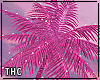 † lit palm tree / pink