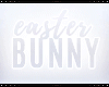 Y: easter bunny - top