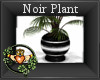 ~QI~ Noir Plant