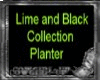 Black  Planter