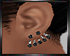 E* Black Diamond Earring