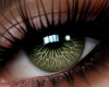 !B Lucent Eyes MOS