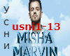 Misha Marvin - Usni