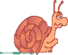 Snail Animated