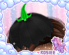 ✿ pumpkin hat 2