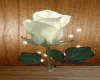 rosee boda
