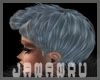 JAN *SH HAIR1
