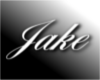 {J} Jake Custom SpotL