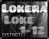 D13l Lokera
