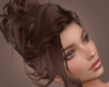Ellis Cocoa