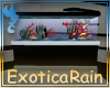 (E)Eclectic: Aquarium1