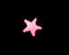 Tiny Pink Starfish