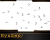 ! FLYING SEAGULLS