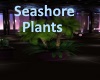 [BD]SeaShorePlants