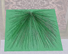 *CYN* PT green rug