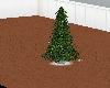 Christmas Tree 4