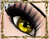 [Ace] Golden Eyes