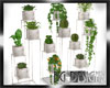 [BGD]Modern Plants Set 2