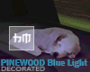 Pinewood - DEC *Blue L