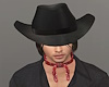 Cowboy Hat with Hair