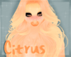 [N] Citrus Hair v1 F