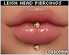 Leigh Gold Labret