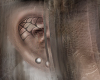 ensnared