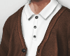 Sweater Polo - Brown