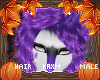 ꨄVanessa Hairꨄ