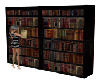 Gig-Library Bookcase Ani