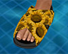 Sunflower Slides (F)