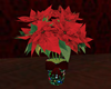 Christmas Plant