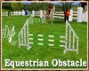 |DRB| Obstacle Equestre
