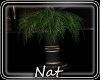 NT Always Tall Planter
