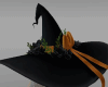Witch Hat halloween