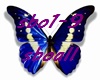 Spirit break out 1