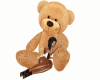 Bear Toy ***Nil***