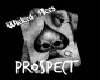 Wicked Aces Prospect