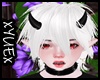 *Y* Halan Yuki